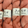 BFL Lace - Coral