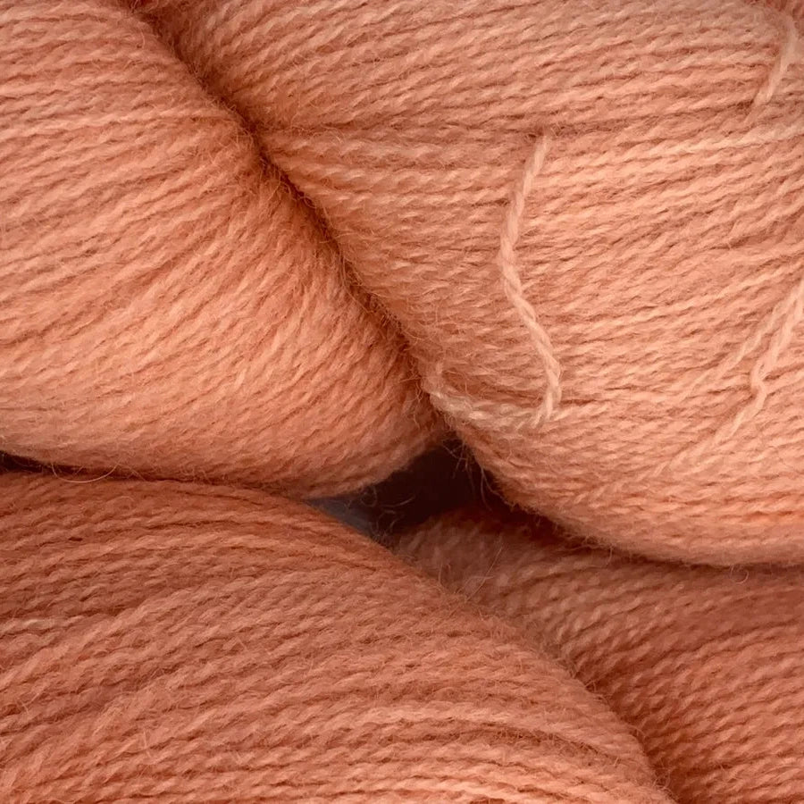 BFL Lace - Coral