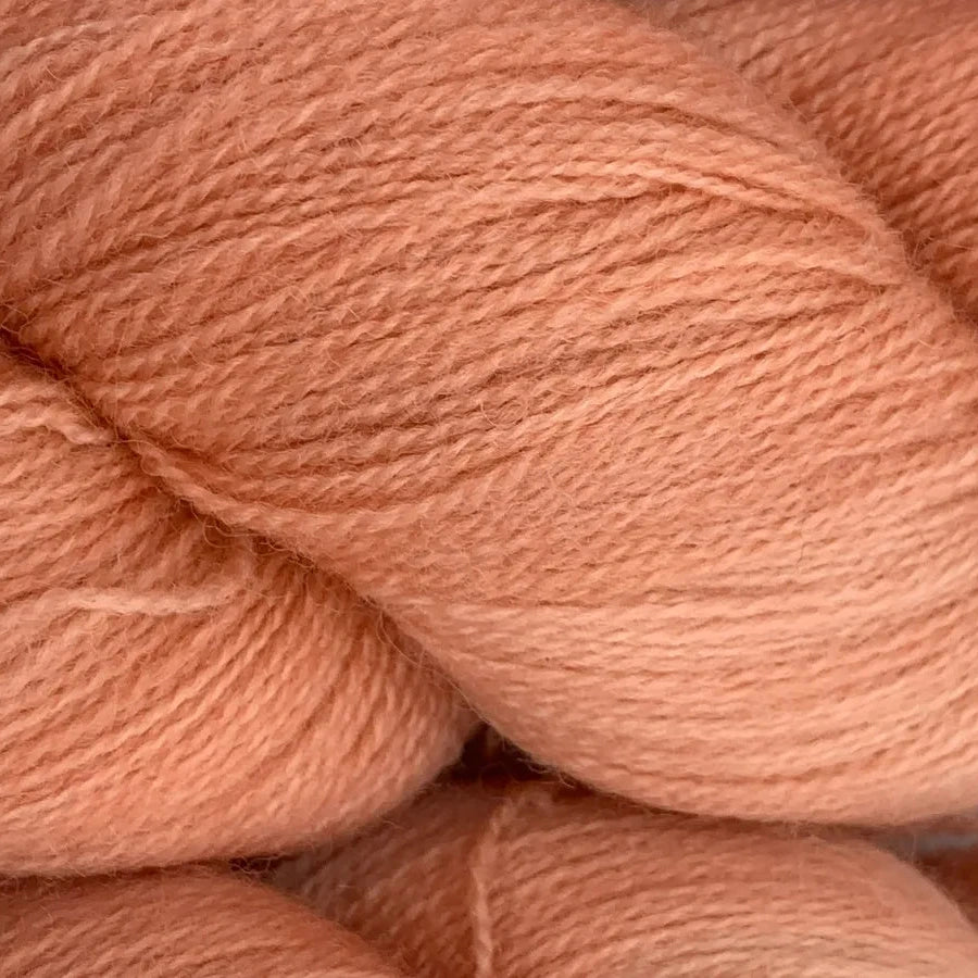 BFL Lace - Coral