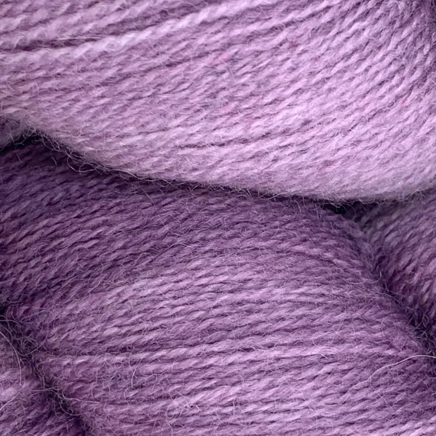 BFL Lace - Purple