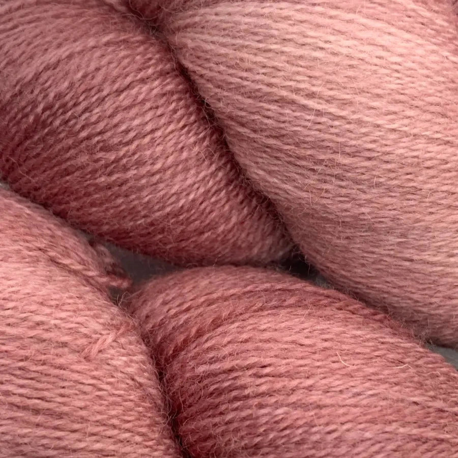 BFL Lace - Rose