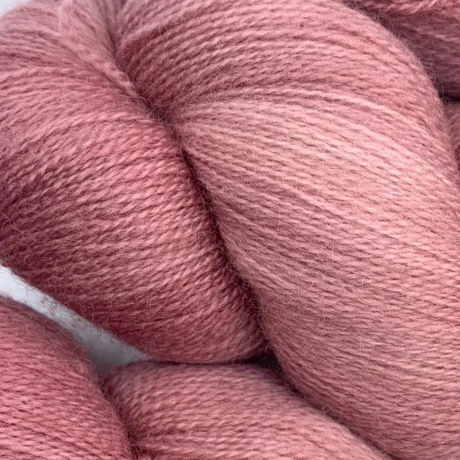 Lace BFL - Rose