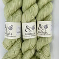 DK Semi-solid - Pale Green