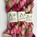 4 Ply Sock Variegated - Fairy Curate