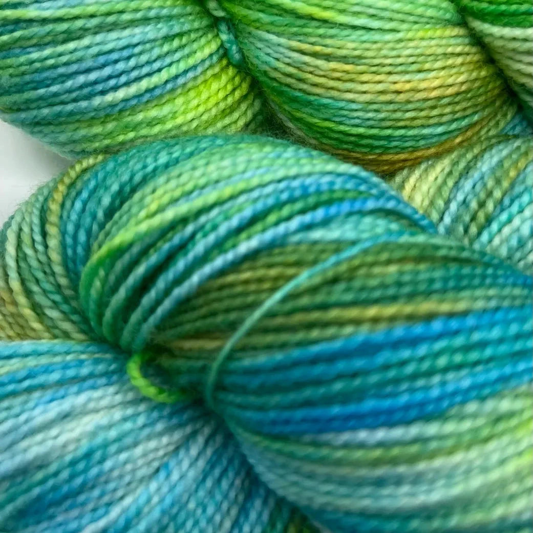 4 Ply Sock Variagated - Lost Wager